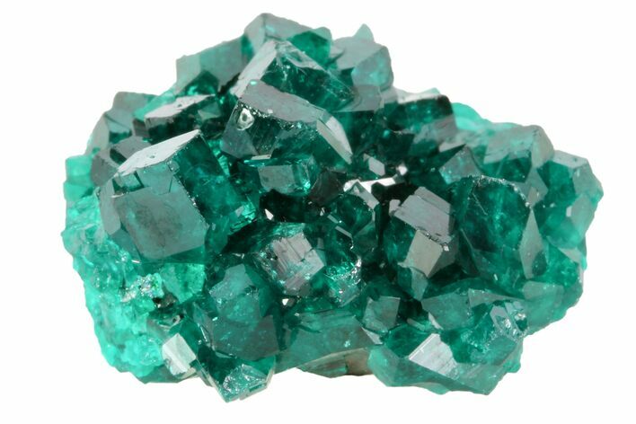 Gemmy, Dark Green Dioptase Crystal Cluster - Namibia #78710